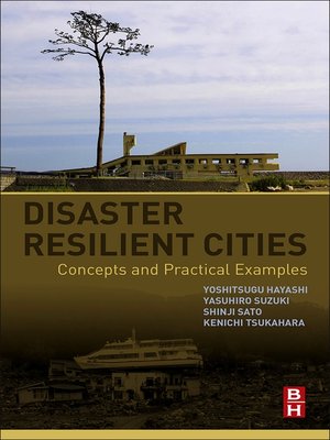 cover image of Disaster Resilient Cities